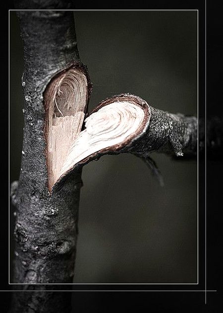 Beautiful Nature image