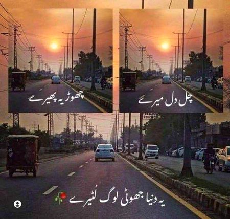 Shahnoor Abbasi✨