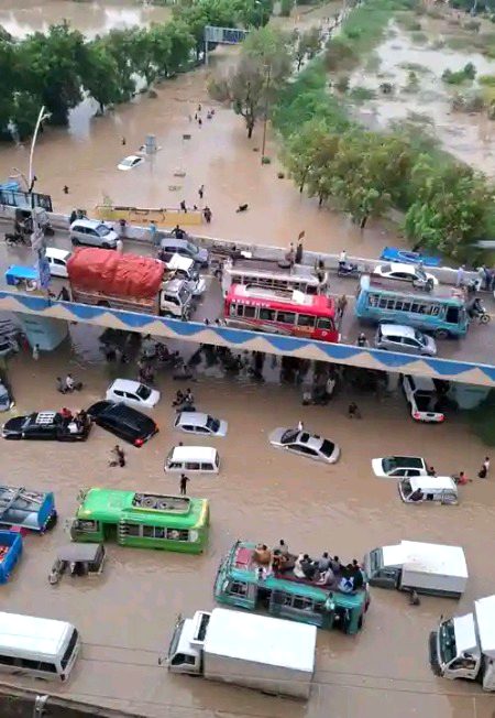 Sindh govt kha sui ha bht hi glt bt ha koi hal ni 
Kha gya bhutto sb chor ha mary tu gareb hi mary