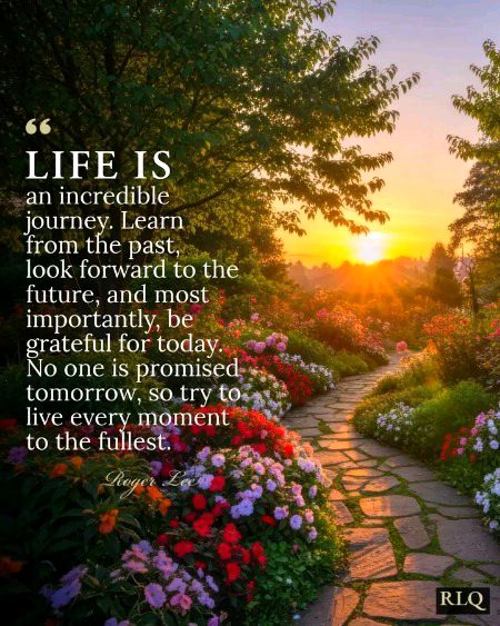 Motivational Quotes image