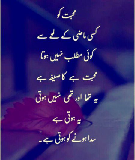 💖💖💖💞💞💞💖💖💖