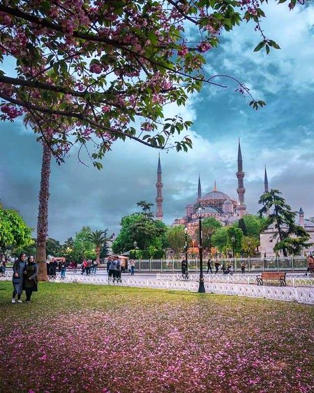 Istanbul ❤️🇹🇷
Around Blue Mosque, a beautiful view.