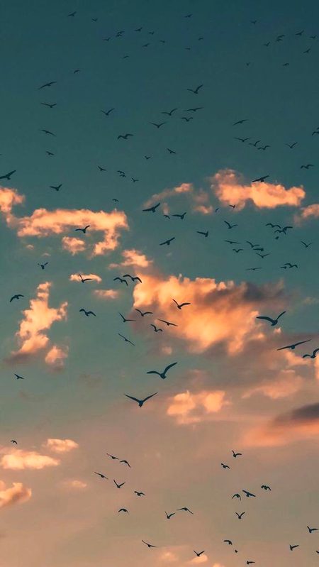 Beautiful Nature image