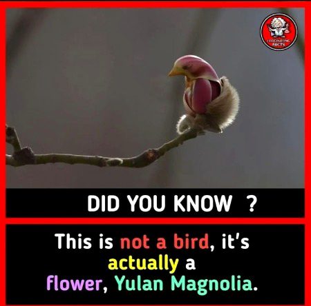 Interesting Posts image