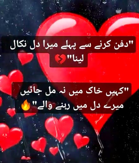 اُداسی میرے قلب کی ٠٠٠ایک ہم جانے ایک رب جانے