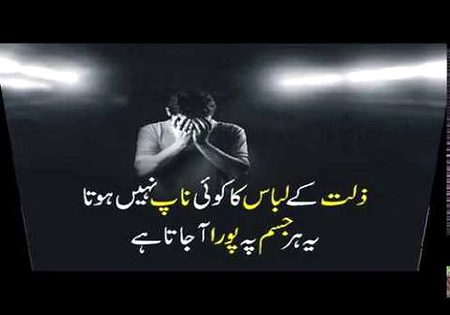 🍁Zoq_Shab🍁