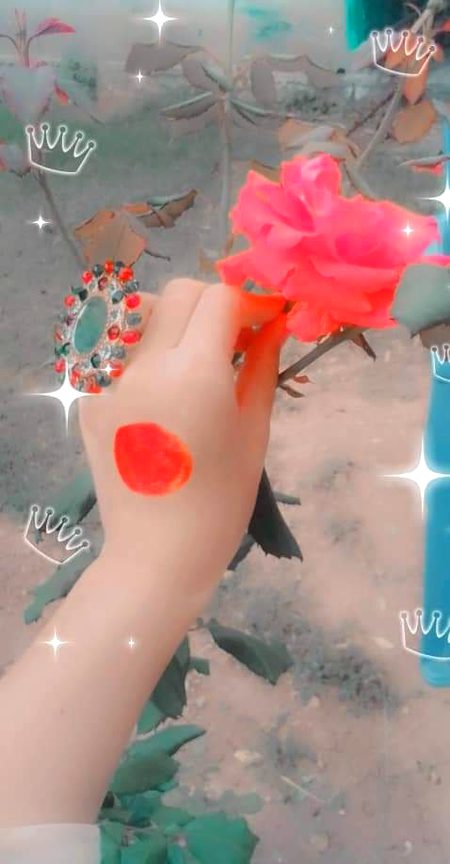 شکوے💔_____تو تم سے بھی بہت تھے
مگر یہ دل بولا_💔__بے شک اللہ صبر کرنے والوں
کے ساتھ ہے