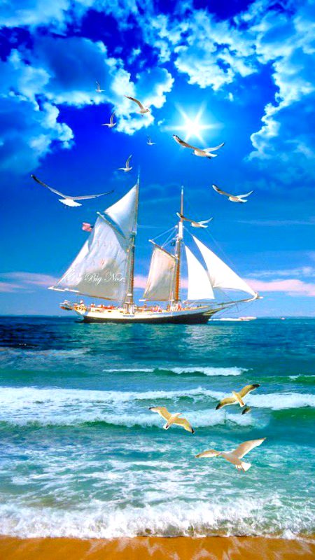Beautiful Nature image