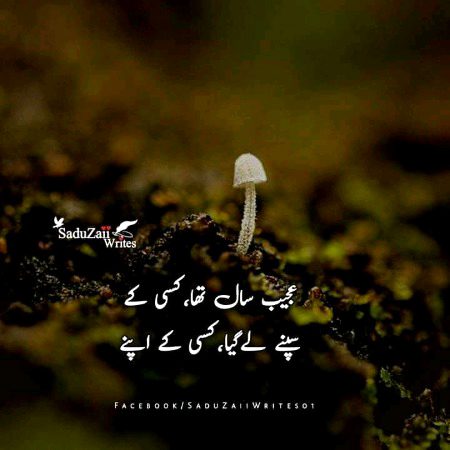 🙃🙃🌹🙃🌹❤️🙃❤️🙃🤧😟asa hi ha