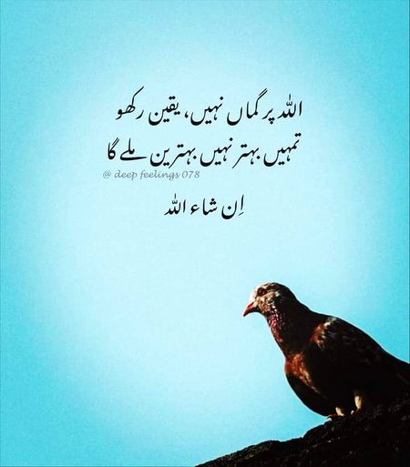 Motivational Quotes image
