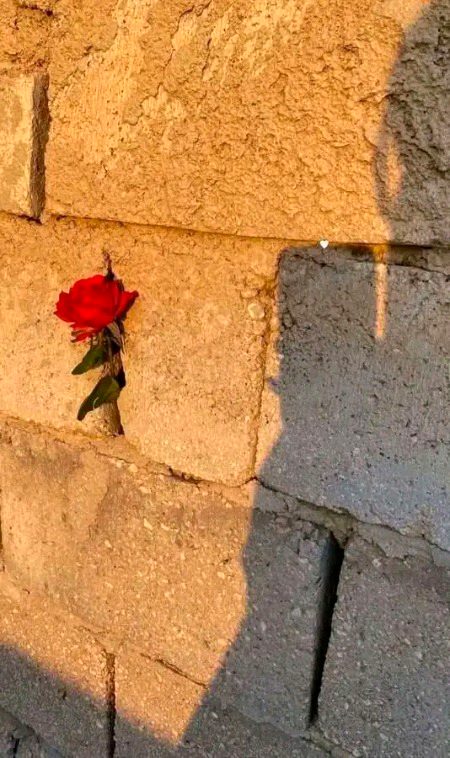 کبھی کبھی لگتا ہے کہ سب کچھ کھو دیا ہیں یہاں تک کہ اپنا معصوم دل بھی ۔🤎