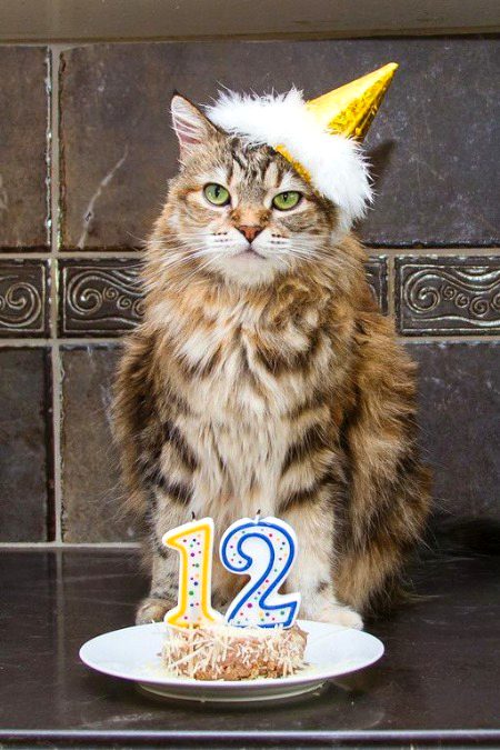 Beautiful Nature image