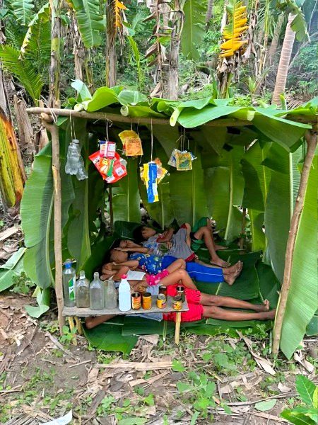 Beautiful Nature image