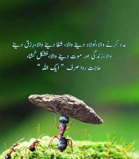 Islamic Quotes image