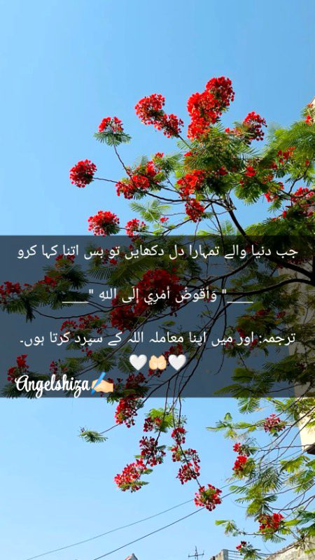 Islamic Quotes image