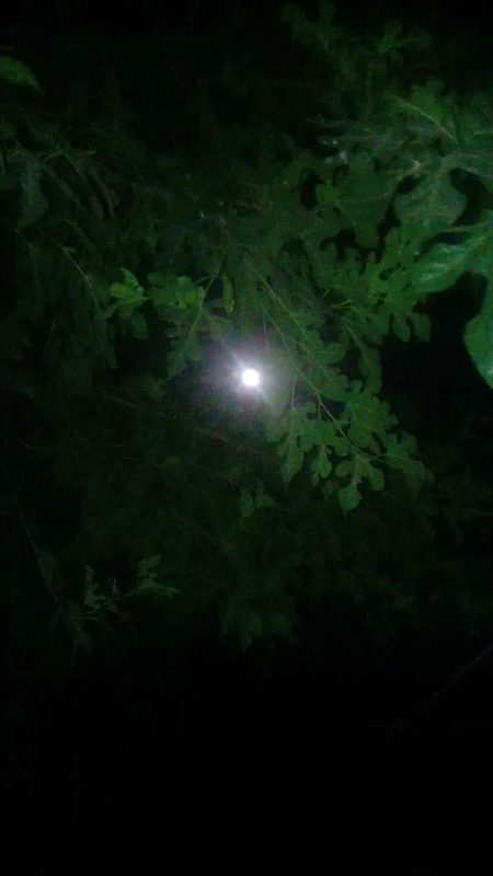 Beautiful Nature image