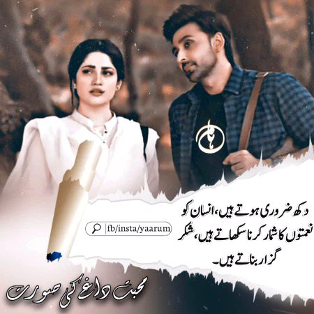 Romantic Novels image