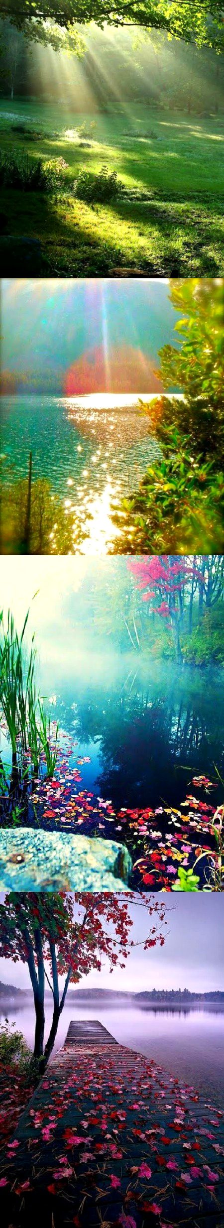 Beautiful Nature image