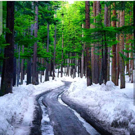 Beautiful Nature image