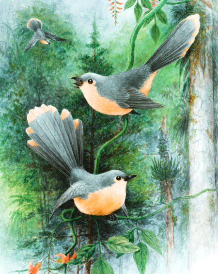 Paintings image