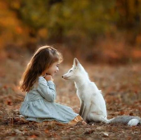 Animals are faithless .n5