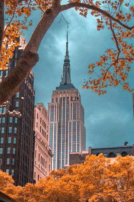 Beautiful Structures image