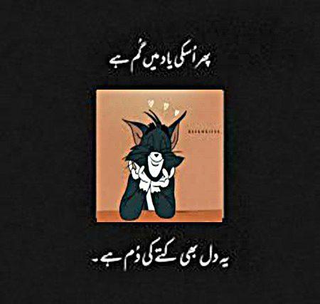 Tom aj kal gum sum hy