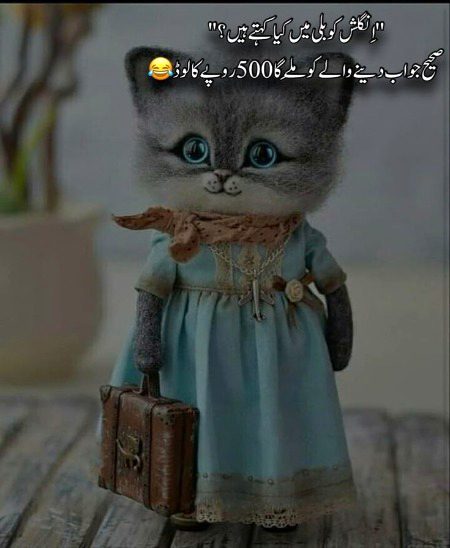 No option