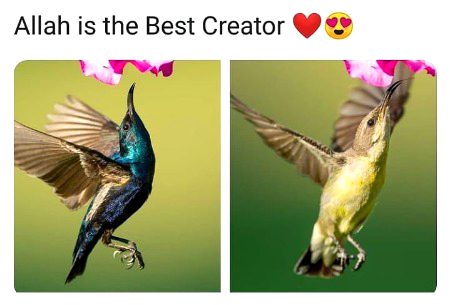 Beautiful Nature image
