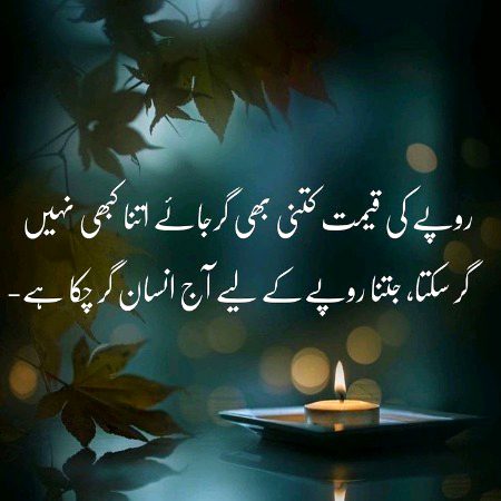 🌹 merijan-16 🌹