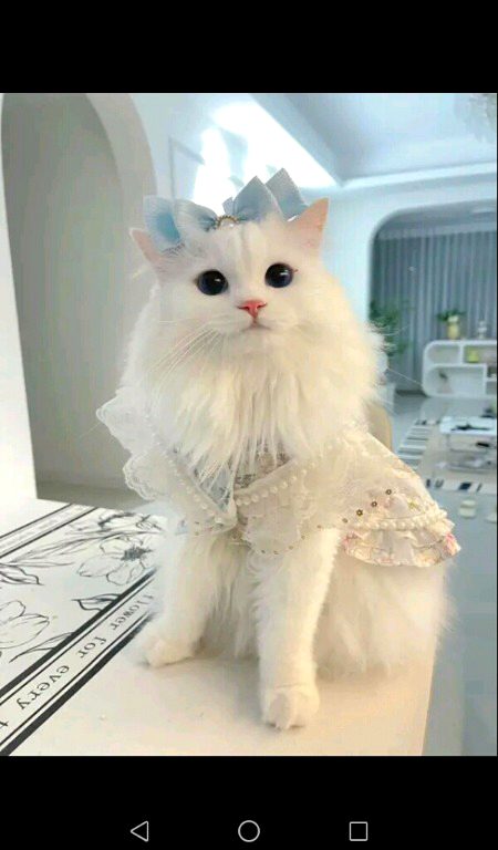 Beautiful Nature image