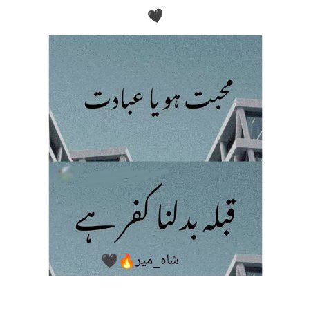 محبت جیتنے کے لیے ان تھک زور لگانا پڑتا ہے لیکن جس سے محبت ہو وہ آپ کو تھکا کر ہرا جاتا ہے ….محبوب کا کوئی مقابلہ نہیں🌸🤍✨🥺
تو نے میرے جاناں کبھی نہیں جانا …عشق میرا درد میرا🌚🖤
"شاہ_میر"🔥🖤