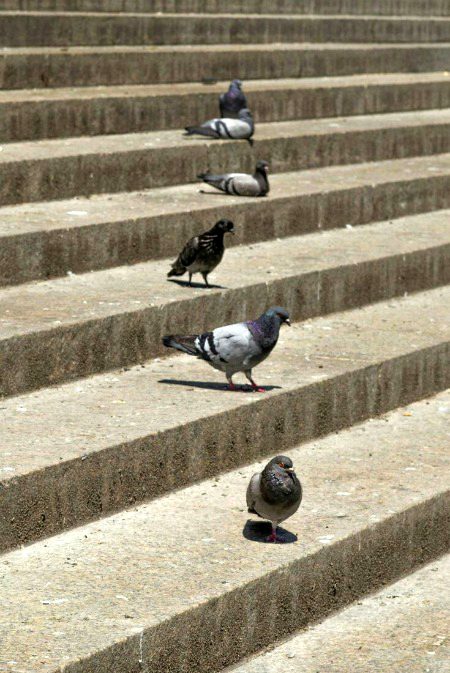 Beautiful Nature image