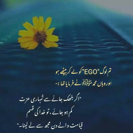 Islamic Quotes image