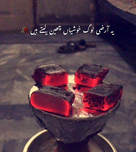 "یہاں تو سمندر بھی بڑا
مطلبی نکلا'__
``جان لے کر لہروں سے کہتا ہے__¡
لاش کو کنارے لگا دو_؟