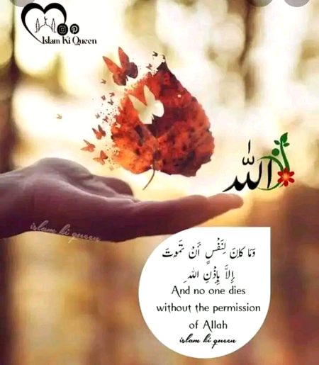 Islamic Quotes image