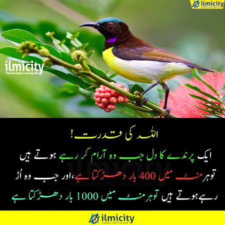 Interesting Posts image