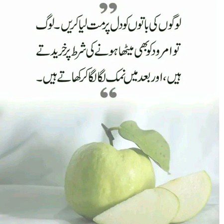 Logoon ki btoon ko dil py mat leya krn