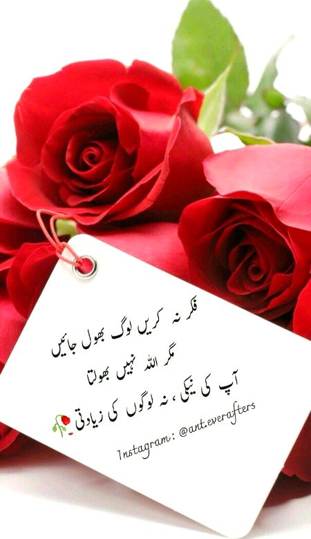Islamic Quotes image