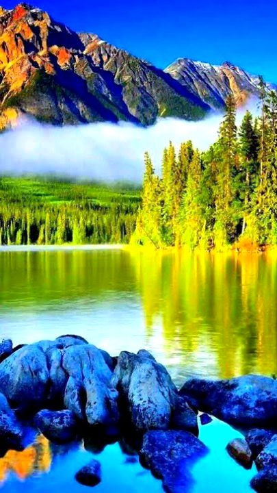 Beautiful Nature image