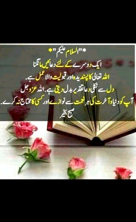 Aslamualiakum.dua mn yad.
ohhh.Noot.
srf true ids wale.qke.jhoton py to khud ALLAH AZWJL KI LAANT PRHTI REHTI.QURAN PAK PRHLN BESHAK