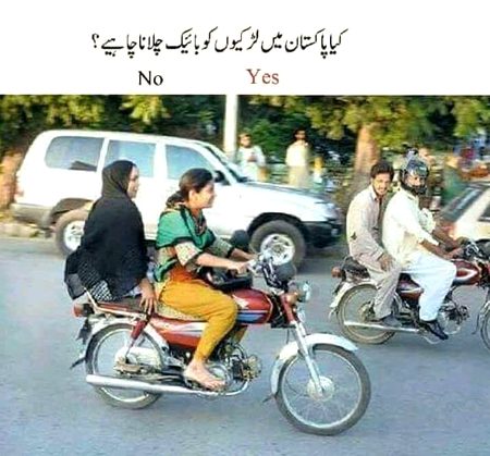 Ladli,,lewni,pagli,