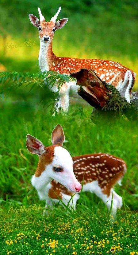 Beautiful Nature image