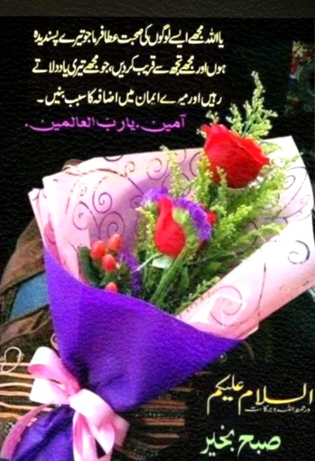 Islamic Quotes image