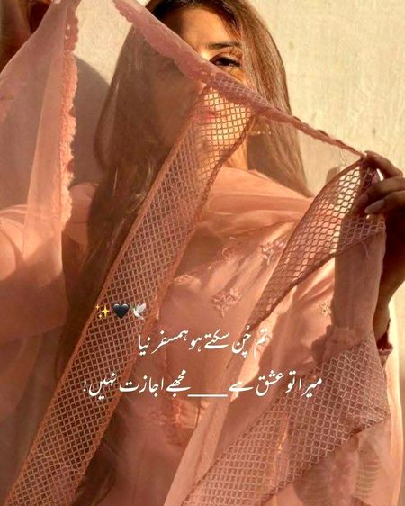 یہ معیار آنکھوں کا تھا یا کوئی تعویز کا 
ہم سے کوئی دیکھا نہ گیا تجھے دیکھنے کے بعد