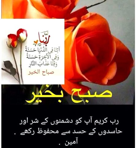 Sweet morning