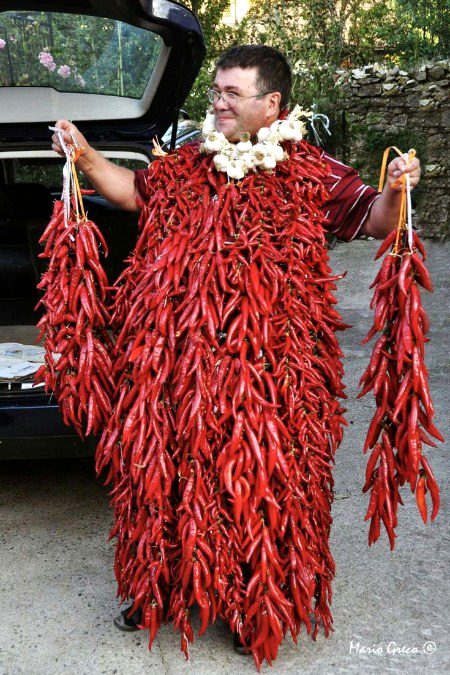 Beautiful Nature image