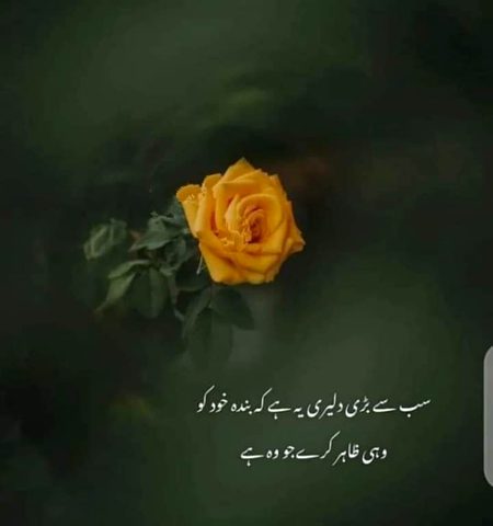 No caption