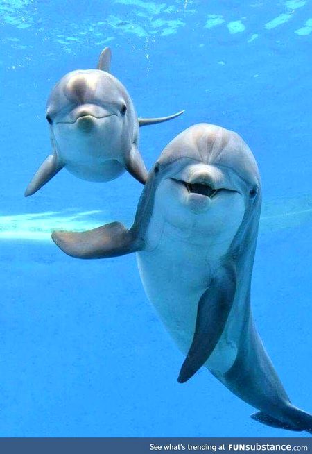 Beautiful Nature image