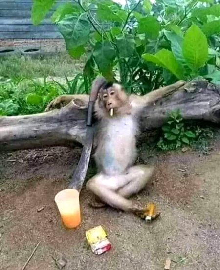 کرش تو دور کی بات 🙁🙁
ہم پر کشی کو ترش بھی نہیں اتا 🙁🙁